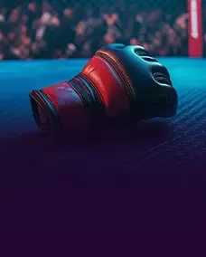 MMA sport category